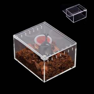 New Arrival Premium Acrylic <b>Tarantula</b> Cage Magnetic Sling <b>Enclosure</b> for Jumping Spider Lovers - Product Image 1