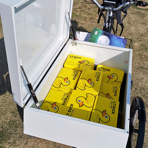 Tricycle <span class=keywords><strong>cargo</strong></span> pour enfants, personnalisé pour le transport de marchandises, très vendu en Europe, pour la livraison express, chariot porte-marchandises en aluminium, en vente - Product Image 5