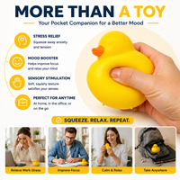 Vente en gros de jouets en TPR en forme de canard, jouets à presser doux pour enfants