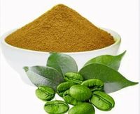 Extrait de grains de café vert de qualité supérieure, poudre, ingrédient végétal naturel, idéal pour les formulations alimentaires, les boissons et les mélanges nutritionnels