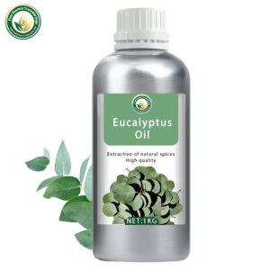 Huile Essentielle d'Eucalyptus 100% Pure Qualité Thérapeutique Parfum Frais Vente en Gros pour Purification Massage Cosmétiques - Product Image 1