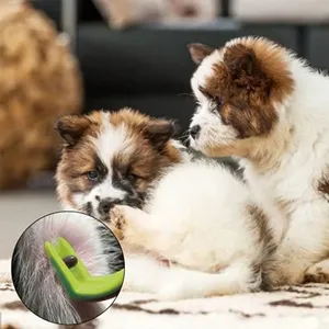 3 Ganchos de pinzas <span class=keywords><strong>para</strong></span> <span class=keywords><strong>quitar</strong></span> <span class=keywords><strong>garrapatas</strong></span> azules y verdes de lujo <span class=keywords><strong>para</strong></span> perros/gatos Herramientas de plástico con 3 tamaños Twister - Product Image 6