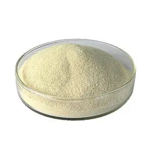 Sodium Alginate Producer Medium Viscosity Thickener 40mesh Sodium Alginate In Dental