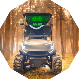 รถเข็นกอล์ฟไฟฟ้าขนาด2 + 2ที่นั่งรถเข็นกอล์ฟไฟฟ้าขนาดเล็ก3500W - Product Image 5