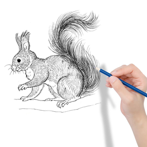 Hb Nguồn Cung Cấp Nghệ Thuật 18-Mảnh Phác Thảo Bút Chì Nghệ Thuật Thiết Lập Các Loại Gỗ Nhựa Công Cụ Vẽ Cho Các Văn Bản Và Bút Chì Phác Thảo - Product Image 5