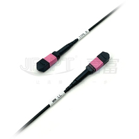 Armored MPO 24 Fiber Optic Cable OM4 Multimode 16Fiber Jumper Cord 10G/25G Backbone 400G/800G SR8 PC/APC 5G Data Center