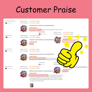 Bán buôn tùy chỉnh Chenille 3D logo thêu vá sắt trên thêu may trên các bản vá lỗi cho quần áo - Product Image 4