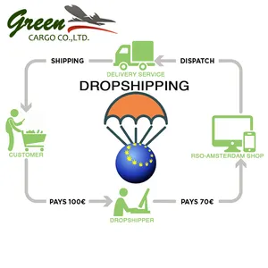 Excellent Service Dropshipping No Minimum Order for Lazada Ebay Shopee Professional Tracking Service Logistics Solutions Global