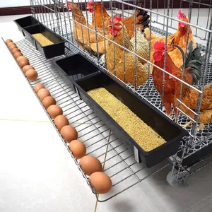 مزرعة دواجن متعددة الأحجام مستعملة بطبقة من الدجاج والحيوانات الأليفة للبيع