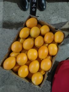 赣南有机无籽脐橙含糖量高色泽鲜艳直销厂家发货新鲜柑橘类水果 - Product Image 6