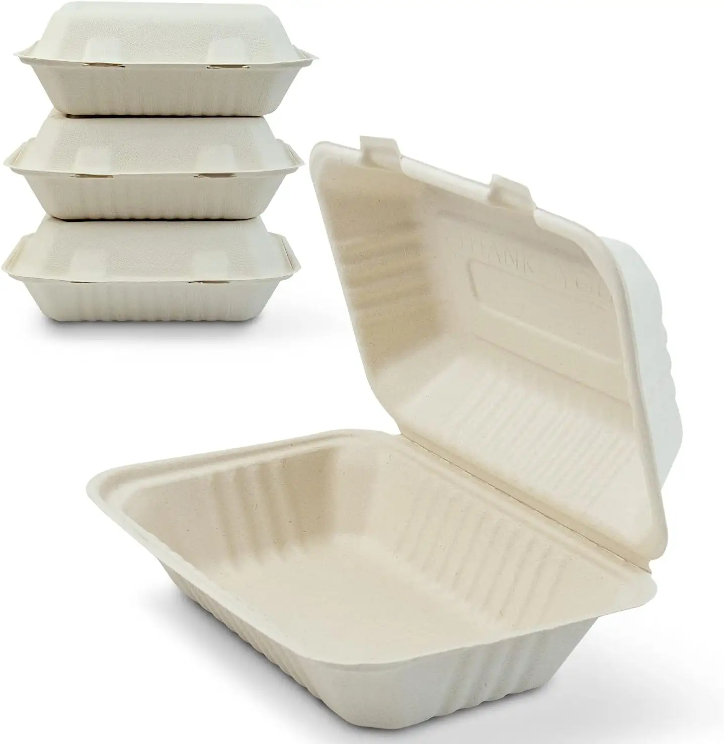 Conteneur d'emballage jetable blanc à clapet de 9*6 pouces Boîte à lunch pour aliments à emporter en pâte à papier de bagasse de canne à sucre