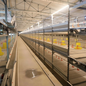 Panneaux à détachement rapide Plateau prêt à compost adapté aux cages à poulets de chair durables soucieux de l'environnement familial - Product Image 1