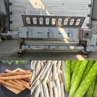 Machine automatique de nettoyage et d'épluchage pour radis blancs, pommes de terre, manioc et tiges de laitue