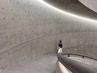 Panneau mural en béton préfabriqué durable, design moderne, vente directe en usine, étanche pour l'extérieur et les applications hôtelières
