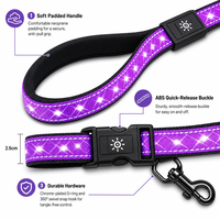 Ensemble collier et laisse pour chien en silicone moulé 3D rechargeable avec LED et fibres optiques, 14 modes d'éclairage, double charge Type-C