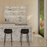 Armoire de cuisine moderne en marbre de George Group avec éclairage LED, évier en bois grainé personnalisé, robinet et charnières - pour les hôpitaux