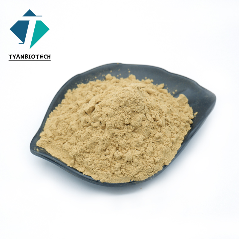 Hot Sale Ginseng Extract Ginseng Powder Korean Red Ginseng Root Extract Powder 10:1 20:1 American Ginseng Extract Powder