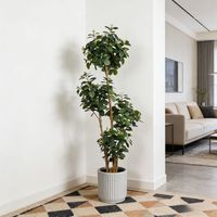 Nouvelle Conception 2026 : Ficus Artificiel Ultra-Realiste pour la Maison, le Bureau, l'Hôtel, le Centre Commercial – Plantes Ficus Décoratives en Pot