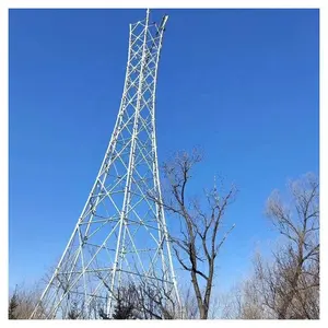 Tour de Communication d'antenne de Signal 5g la tour de surveillance de forêt de montagne peut être personnalisée à diverses fins