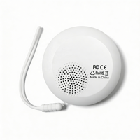 Weißes Rauschen Musik- und Alarmton-Wecker mit Schlummerfunktion, DST, LCD-Display, digital, wiederaufladbar, Vibrationsfunktion für Hörgeschädigte, zur Verwendung unter dem Kopfkissen