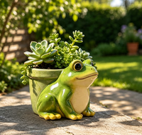 Pot de fleurs en céramique en forme de grenouille de dessin animé, finition mate, respirant, auto-arrosant, pour plantes succulentes, style pastoral, décoration de jardin intérieur/extérieur