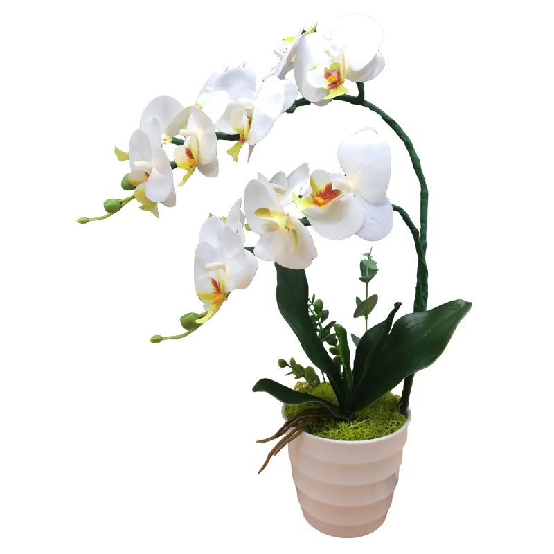 Moth Orchid Home Decoration Real Touch 3D PU Artificial Flower White Orchid with White LED light