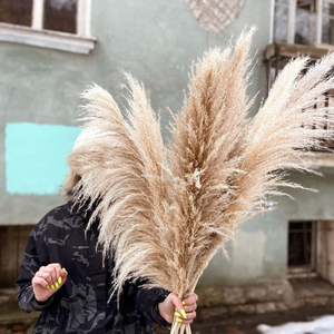 Pampas secas y esponjosas de Color blanco, grandes, flores, Pampus, decoración, césped - Product Image 5