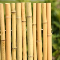 Rollos de Cercas Decorativas de Bambú Amarillo Rústico Natural de Alta Calidad, Ecológicas, para Balcón y Jardín