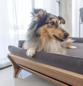 بيع بالجملة سرير حيوانات أليفة حديث ونمط صلب وصلب ، وسادة خشبية للقطط والكلاب للحيوانات الصغيرة أثاث OEM مخصص - Product Image 2