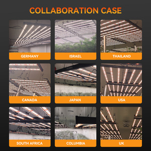 Tritile PPE2.8 1000w 10 barras 281b Luces de Cultivo LED de Espectro Completo para Plantas de Interior - Product Image 6