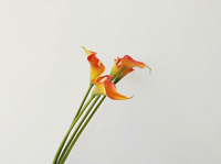 Bunga Calla Lily Putih Buatan Pabrik Langsung, Taro Guanyin Lotus, Model Cetakan Injeksi, Rangkaian Bunga Linear untuk Ruangan