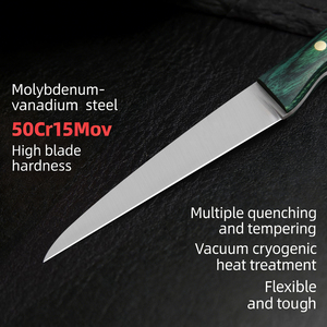 Set di <span class=keywords><strong>Coltelli</strong></span> da Cucina <span class=keywords><strong>per</strong></span> Intaglio, Scultura e Modellazione, <span class=keywords><strong>per</strong></span> Incisione, Pelatura di Frutta e Verdura, in Metallo Durevole con Manico in <span class=keywords><strong>Legno</strong></span> - Product Image 4