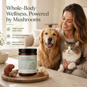 Suplemento Natural para Mascotas con Cola de Pavo, Reishi y Melena de León, Servicio OEM Integral, Polvo de Hongos Enteros para el Bienestar - Product Image 3