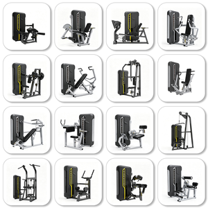 WENDY Fabricant – Machine d'entraînement de force <span class=keywords><strong>2</strong></span>-en-1 à charges guidées pour biceps (curl) et triceps (extension) – Vente chaude - Product Image 2