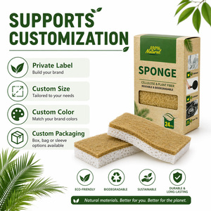 Spugna da Cucina Naturale Biodegradabile Spugna Abrasiva Popolare Eco-Friendly in Cellulosa e Cocco Compostabile - Product Image 5