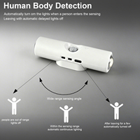 Lampe de nuit LED à détecteur de mouvement, sans fil, magnétique, murale, rechargeable par USB, lampe de placard, induction corporelle PIR, lumière d'escalier