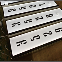 Plaque de numéro de porte artistique personnalisée avec éclairage à ampoule globe – Partenaire des designers, usine OEM pour villas, hôtels, clubs haut de gamme