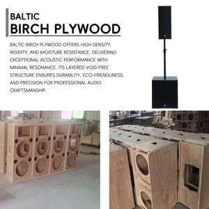 Dbk Dual 8 Inch Speaker + 18 Inch Actieve Subwoofer Medium Line <span class=keywords><strong>Array</strong></span> Kolom Speaker 18 Inch Passieve Subwoofer Bruiloft Dj - Product Image 5