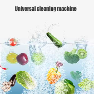 Équipement de nettoyage pour légumes, fruits, fruits de mer et viande - Product Image 6