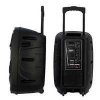 Sistema de Karaoke Inalámbrico 5.0 con Woofer de 12 Pulgadas, Micrófono Incorporado, Control Remoto, Luces LED RGB, Reproductor de Audio Portátil de 20 W, Altavoz para Exteriores 2