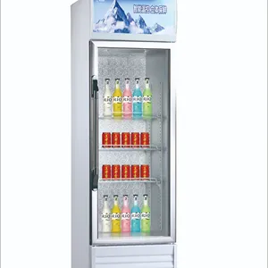 Düşük enerji tüketimi LC-263 tek dik içecek buzdolabı ekran soğutucu oneglass kapılar ticari ekran soğutucu