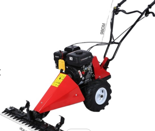 Hand Push Lawn Mower Cutting Grass
