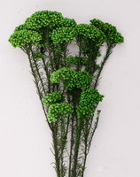 Vente en gros de bouquet de fleurs séchées pour décoration DIY, bouquet de fleurs de riz millet préservé et coloré pour la maison