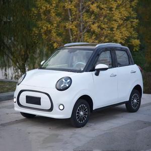Mini Auto Eléctrico de Cuatro Ruedas, 2 Puertas, 4 Asientos, Motor de 3500W, Autonomía de 130-300km, FSL L100 - Product Image 3