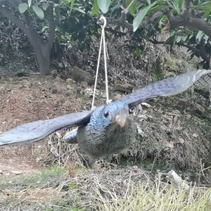 เหยื่อล่อสัตว์รบกวนรูปนกเหยี่ยว/นกกา ทำจากพลาสติกน้ำหนักเบา เหมือนจริง สำหรับไล่นกและสัตว์รบกวนในสวน ลดราคาพิเศษ - Product Image 2