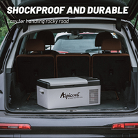 Alpicool Mini réfrigérateur rechargeable 12 volts, refroidisseur électrique portable, congélateur avec batterie intégrée en option, OEM/ODM