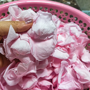 Pétales de rose séchés et préservés de qualité supérieure, 100 % naturels, pour décoration de mariage ou artisanat DIY - Product Image 5