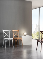 Chaises de salle à manger en plastique haut de gamme au design nordique, modernes et très vendues à l'international pour la maison, les mariages, les hôtels et les restaurants