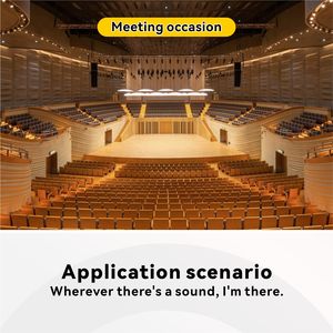 Sistema de Audio Profesional PA Chordio V210, Altavoz de Concierto <span class=keywords><strong>Pasivo</strong></span> con Neodimio de Alta Precisión, Caja Acústica de Línea de Respuesta Potente - Product Image 6