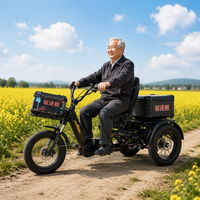 Tricycle électrique à gros pneus SOBOWO pour adultes, vélo électrique à 3 roues, 1750W, E-trike à encoche basse avec batterie amovible 60AH